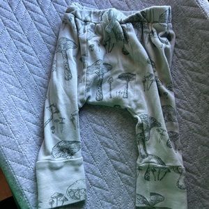 Kate Quinn pants